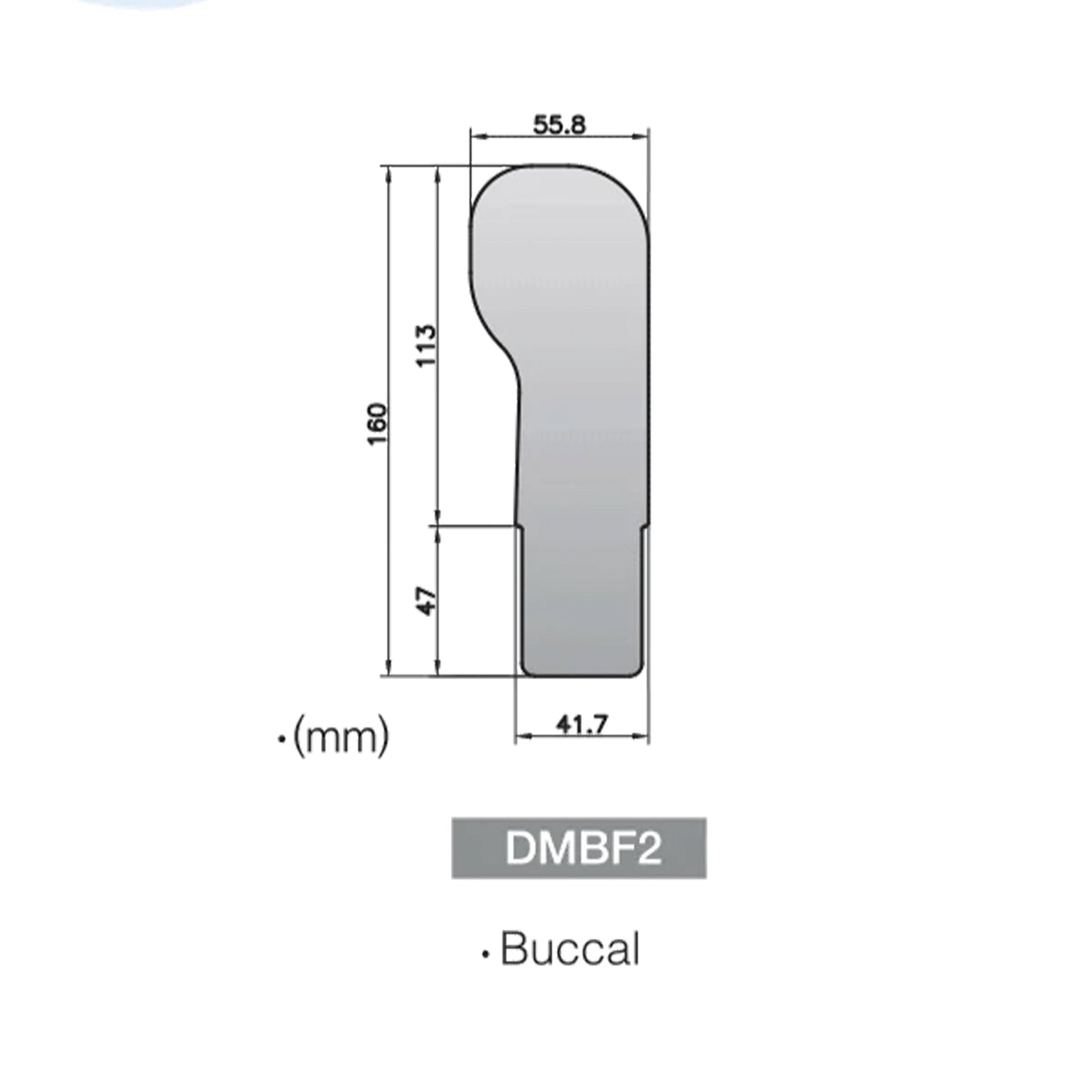 Buccal Mirror For Fog Free Intra Oral Photo System -DMBF2