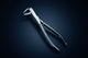 Forceps No. 19 Navy